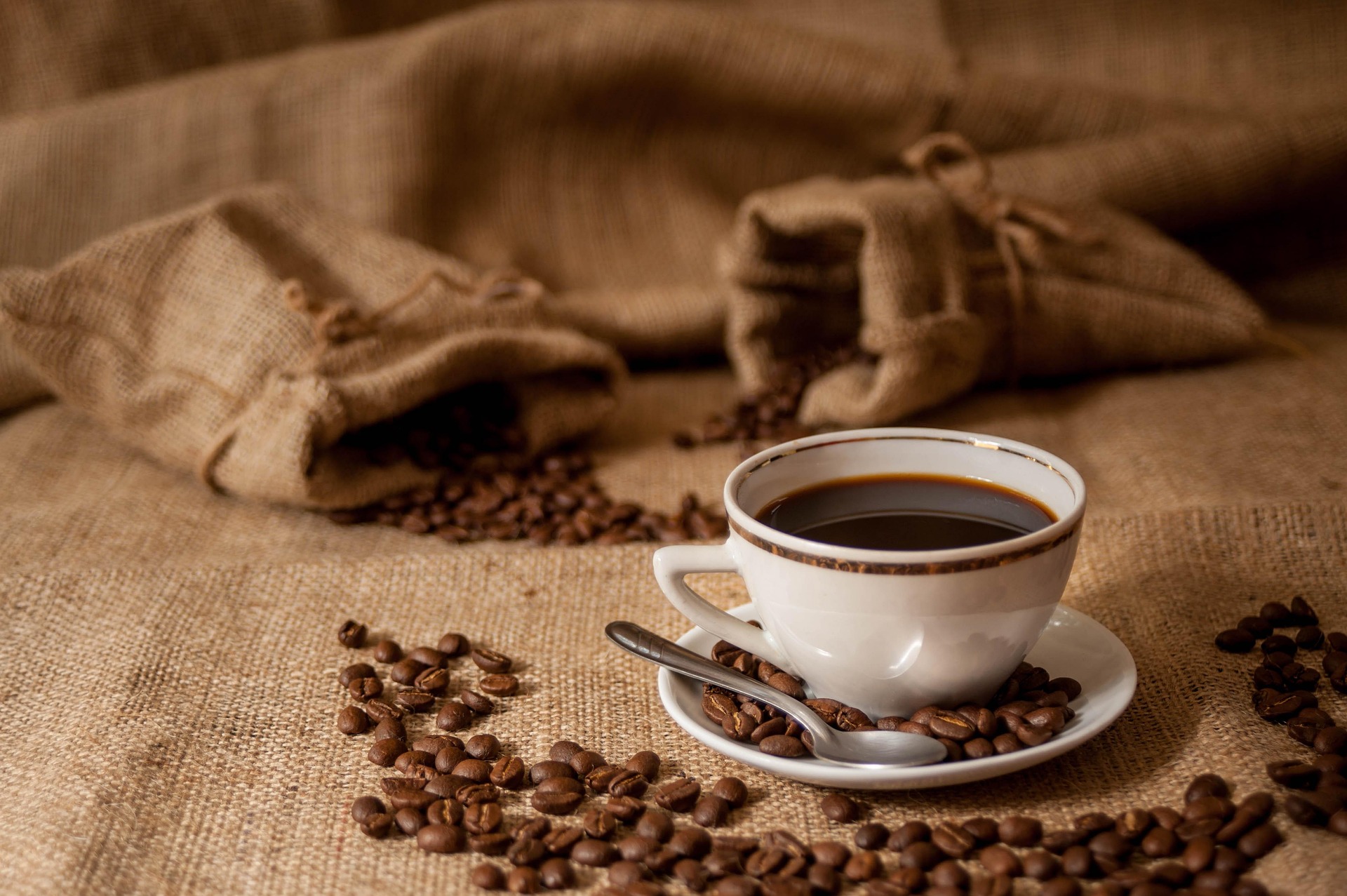Premium Coffee Experience